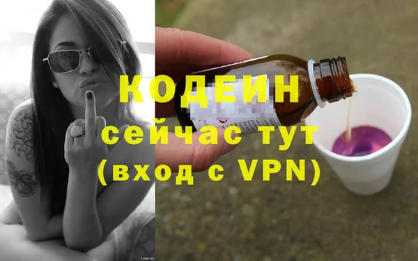 хмурый Арсеньев