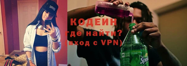 хмурый Арсеньев
