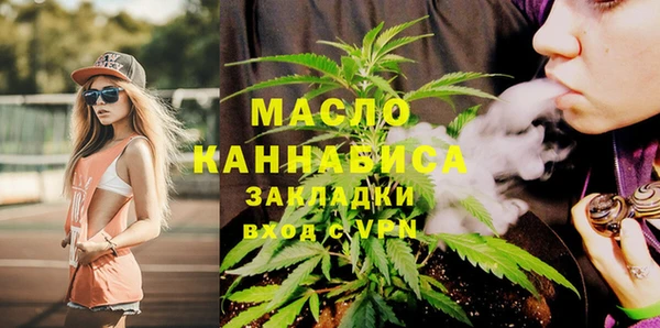 хмурый Арсеньев