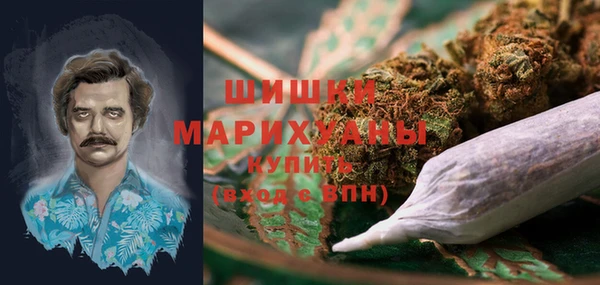 хмурый Арсеньев